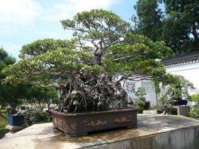 Media_httplh3googlecomautbull001ruv3ur5nciaaaaaaaaaamiodm3wrtc3as288p1000672jpg_figdjjjehgdslol