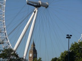 Media_httplh4googlecomautbull001ruomtr7ed6iaaaaaaaaafqmoyosaqzfks288p1000726jpg_agiflxibcvsbdfv