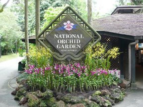 Media_httplh6googlecomautbull001rukn9l5nuiaaaaaaaaax8ppry6nanxzms288p1000603jpg_fahhkffhqiljbdm