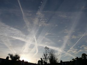 Media_httplh6googlecomautbull001rvuyxn73diaaaaaaaaassgpa5ddysexos288p1000903jpg_cjfwcjddzjfagdi