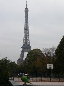 Media_httplh3googlecomautbull001rydndspoy5iaaaaaaaaa7czc7irfv09w4s288p1010168jpg_bwhjgkheecuhmfx