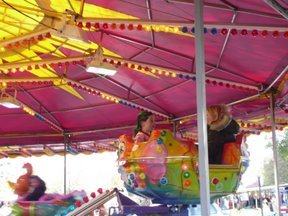 Media_httplh4googlecomautbull001rydlq8pozeiaaaaaaaabcca47p362i8ags288p1010164jpg_gpgfpjpckafwgtj