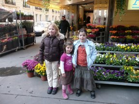 Media_httplh5googlecomautbull001rydjdmpoyiaaaaaaaaa9yhjdzy170fsgs288p1010066jpg_rdyjqeiysfiozgg