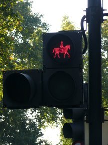 Media_httplh6googlecomautbull001rxyfxhn736iaaaaaaaaa40opbz5kiim0s288p1010044jpg_dbrfygegundhspz