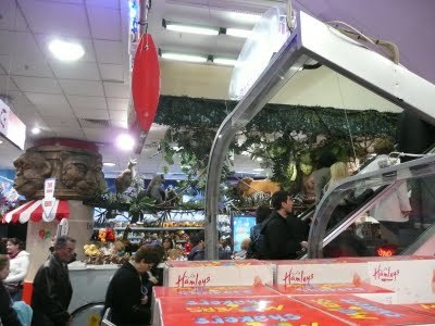 Media_httplh5googlecomautbull001rzc58dn4iaaaaaaaabmsqfunpuusiqms400p1010255jpg_shejaepccczejci