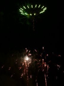 Media_httplh6googlecomautbull001ryt7dspozpiaaaaaaaabf0jzjekvqbhses288p1010193jpg_lhaxjnxbfyprjad