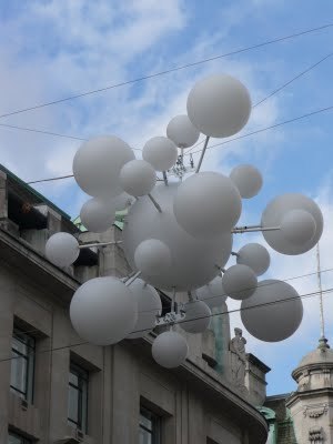 Media_httplh6googlecomautbull001rzc5lmdn2iaaaaaaaabmcpniu382tkkcs400p1010253jpg_kkpljbwarhndcvc