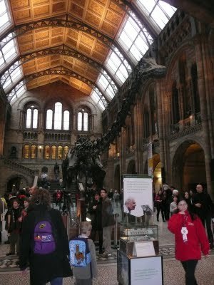 Media_httplh3googlecomautbull001r3shgpvm6piaaaaaaaabrghvlyffa3sms400p1010575jpg_ldqafvwcpfbdynb