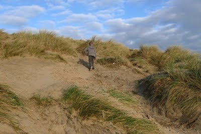 Media_httplh4googlecomautbull001r3figjvm7giaaaaaaaab0gid2mbmnn940s400p1010710jpg_hlphdghyfcfeidc