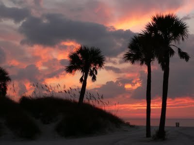 Media_httplh6googlecouktbull001r17cesjut6iaaaaaaaabdol0nx1fk6q9ys400p1010446jpg_nfwdjgsenaitedy