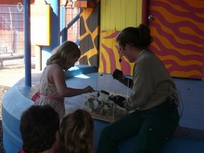 Media_httplh3googlecomautbull001r52t9902zaiaaaaaaaaci4vvkvifzgpeis288p1010954jpg_agmfcnfyqgaujey