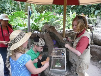 Media_httplh3googlecomautbull001r52td902y2iaaaaaaaachkfwguegzifn4s400p1010901jpg_mgbrgoakffmogrq