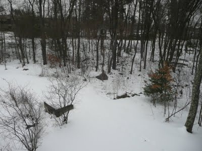 Media_httplh4googlecomautbull001r8avgrft2jiaaaaaaaacse1mnljvidlxms400p1020094jpg_eiivxyqxqhdjmak