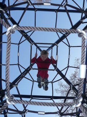 Media_httplh6googlecomautbull001r7qzplft2ziaaaaaaaacpuwpcv3cfisys400p1020051jpg_cailyyekubmyivc