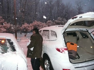 Media_httplh6googlecomautbull001r8asilft2iiaaaaaaaacrkzllex9dt51cs400p1020116jpg_ddkjaiadrnthpbc