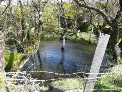 Media_httplh3googlecomautbull001rfhnjxzkciaaaaaaaacdihix4nj0ymus400p1020262jpgjpg_cboijnuehnaodxc