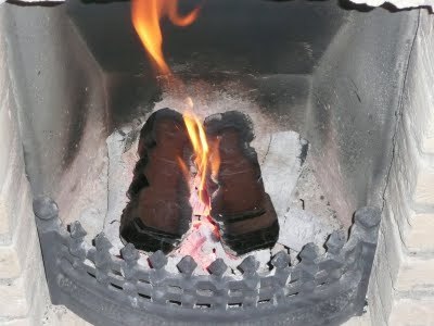 Media_httplh4googlecomautbull001rfeqzxzkhiaaaaaaaacayukdz8gi4jes400p1020363jpgjpg_jocbcipfizjfieo