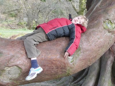 Media_httplh4googlecomautbull001rffazxzkoiaaaaaaaacbudsbfmscbjjus400p1020331jpgjpg_nxeixtegrdifeba