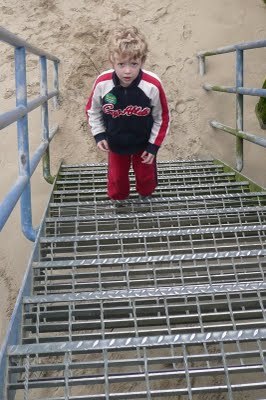 Media_httplh6googlecomautbull001r9v6n96vjaiaaaaaaaacyudf0yex5poms400p1020229jpg_eeigwzfubbdzgnw