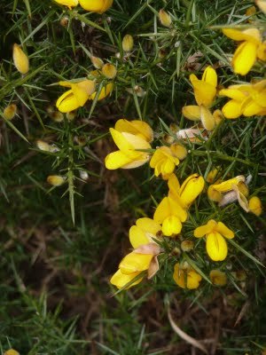 Media_httplh6googlecomautbull001rfhbtxzkaiaaaaaaaacc4hmduayb6h7qs400p1020266jpgjpg_jbhleigpydccjbe