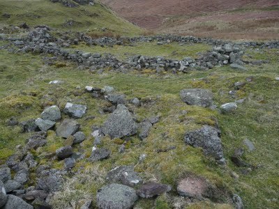 Media_httplh3ggphtcomtbull001saygszkvzoiaaaaaaaacpgzkxuu1buys400p1020463jpg_fqtaaeknaaxscbg