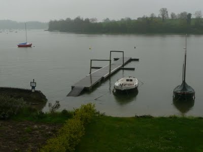 Media_httplh3ggphtcomtbull001sbdweyefwniaaaaaaaaczimo2r6alxkp0s400p1020785jpg_iigalbemnilqvoc