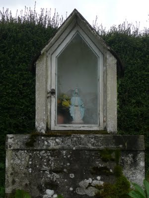 Media_httplh3ggphtcomtbull001sbdwhyefwoiaaaaaaaacycf17aehqjcys400p1020782jpg_wyrdoepidjiafnk