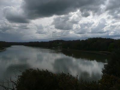 Media_httplh3ggphtcomtbull001sbdwsyefwqiaaaaaaaacywmmdqtkzgngs400p1020772jpg_tbwhfvveaipcbjc