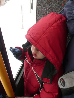 Media_httplh4ggphtcomtbull001sadysefwwiaaaaaaaacvik7x4uxa5pays400p1020581jpg_fphffufgmsagicw