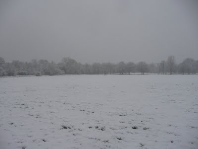 Media_httplh4googlecomautbull001ricfjxzkuiaaaaaaaackmexkmnym402ws400p1020433jpgjpg_cdiaebjbzpftger