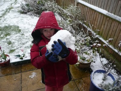 Media_httplh4googlecomautbull001riznjxzkriaaaaaaaacjcx95rxnexxocs400p1020417jpgjpg_cedcffeysbskcmd