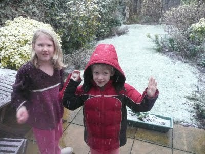 Media_httplh4googlecomautbull001rizujxzksiaaaaaaaacjkdkzbzxag5iss400p1020398jpgjpg_fhakdvcjvfvfmwh