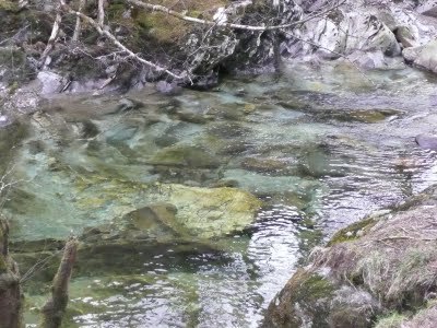 Media_httplh6ggphtcomtbull001sayr4jkvzbiaaaaaaaacl8df1euwvxws400p1020495jpg_nbzkcdmjjgjeaae