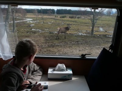 Media_httplh6ggphtcomtbull001sayrfjkvztiaaaaaaaack0hzrfn0aymaas400p1020589jpg_ksjkibejxwyjqiu