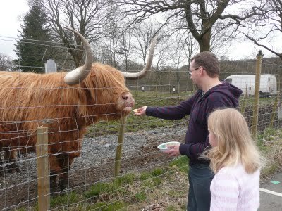 Media_httplh6ggphtcomtbull001sayrjkvzciaaaaaaaacmec4n3ohge3ws400p1020486jpg_yigshyhjexhfdkx