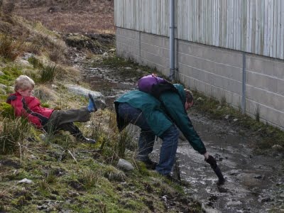 Media_httplh6ggphtcomtbull001sayrqjkvzziaaaaaaaaclscbgg0igutd4s400p1020524jpg_wngvadhcmpgdebm