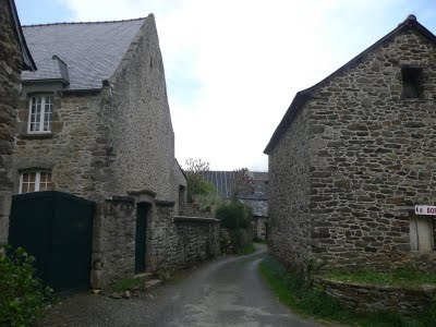 Media_httplh6ggphtcomtbull001sbdwbiefwsiaaaaaaaaczalixxrvlncmis400p1020779jpg_lfcfuuiumwrapej