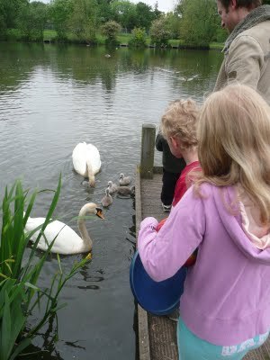 Media_httplh3ggphtcomtbull001sdbcjb8mkiaaaaaaaadcadvmciy6cdrws400p1020986jpg_esbgmqhechtolhm