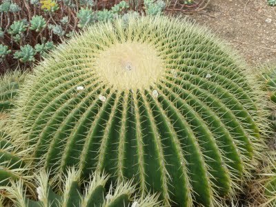 Media_httplh5ggphtcomtbull001scxvfa1w0biaaaaaaaac9gzggdmlg6ydgs400p1020953jpg_rrqxuufopddxahg