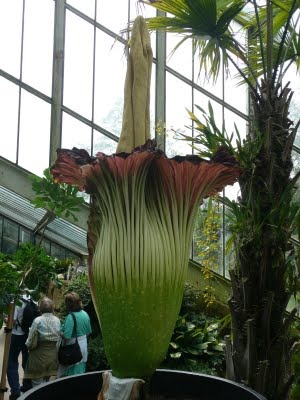 Media_httplh6ggphtcomtbull001scxu1q1wziaaaaaaaac9qykmhscvocnms400p1020960jpg_chicxbdubsorxwg