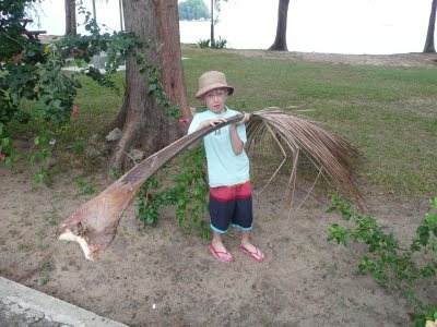 Media_httplh3ggphtcomtbull001sg60epugfdiaaaaaaaad5cck5i6g8plo4s400p1030435jpg_fkgefcvxymjdinh