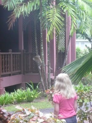 Media_httplh3ggphtcomtbull001sg60ve075jiaaaaaaaad581hoy3ulstus400p1030453jpg_dgeggjcfgdszvdo