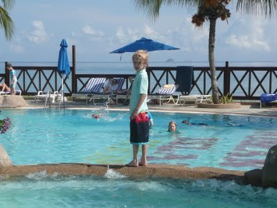 Media_httplh3ggphtcomtbull001sg6z0sm63diaaaaaaaad5epneprrfbktss400p1030418jpg_obazgayistoahjb