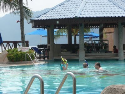 Media_httplh4ggphtcomtbull001sg60q41mviaaaaaaaad50ilhb10ubo5qs400p1030446jpg_momagyankiudwjk