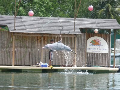 Media_httplh6ggphtcomtbull001sh2a4alwnxiaaaaaaaad8ok8npoij7rbgs400p1030503jpg_atdgbhpxocdceuj