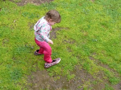 Media_httplh3ggphtcomtbull001sk05nybswriaaaaaaaaeacbbwn8xrqcmis400p1030572jpg_uephafassiespfi