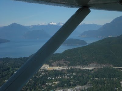 Media_httplh3ggphtcomtbull001sm8rx1at6iaaaaaaaaeiujb1m2n1dvlcs400dscn0310jpg_cmlajcpdjulydaf