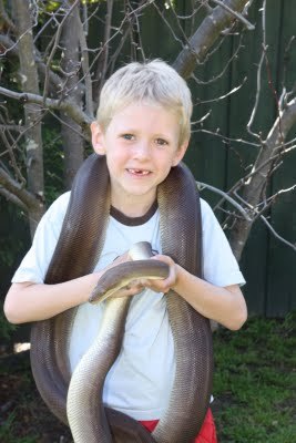 Media_httplh3ggphtcomtbull001smd8wjftepiaaaaaaaaed0ogfmk154aycs400img7310jpg_totwssttrkvfeic