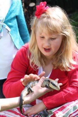 Media_httplh4ggphtcomtbull001smd8ahpsneiaaaaaaaaedmusxeuspnhxms400img7118jpg_grpgwkfhxkecsoi