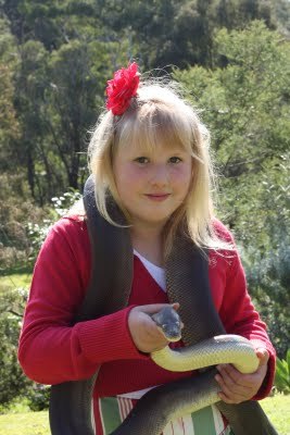 Media_httplh4ggphtcomtbull001smd8rbfrhjiaaaaaaaaedsxepaz7m9gws400img7265jpg_eaylmnggfeaqcuf